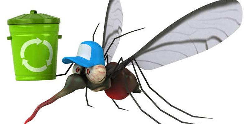 Why Mosquitoes Love You More: The Science Behind the Bite