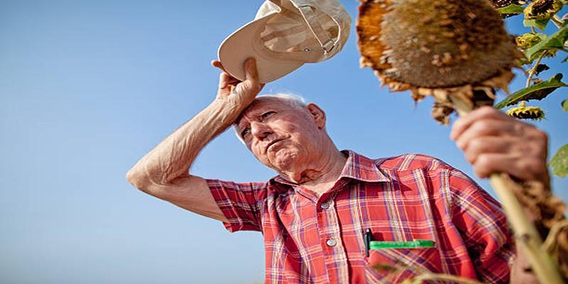 Hot Weather Safety Tips Every Senior Must Know